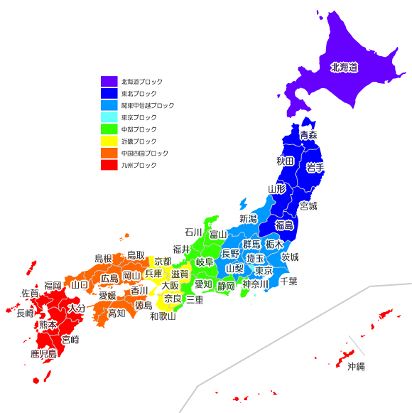 地域医療情報システム 日本医師会